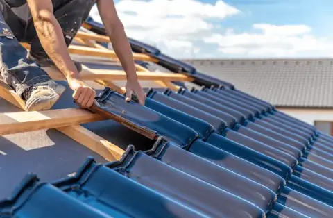 Couverture - Les Mesnuls