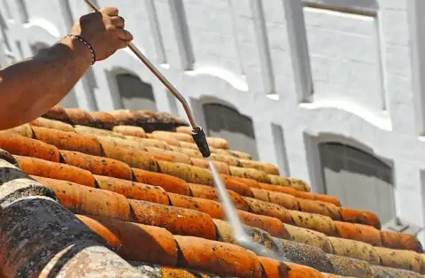 Nettoyage de toitures - Les Mesnuls